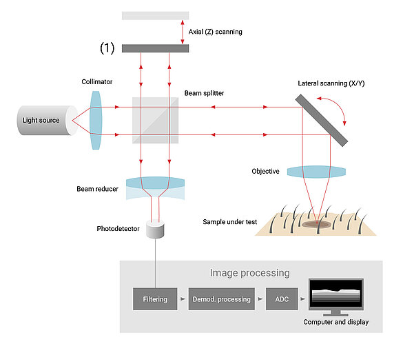 Michelson Interferometer Setup for Tissue Examination